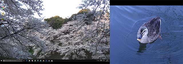 マルチモニターの壁紙(背景画像)を設定