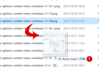 Windows 11 コンテキストメニューにファイルをフォルダーへコピーまたは移動オプションを追加する