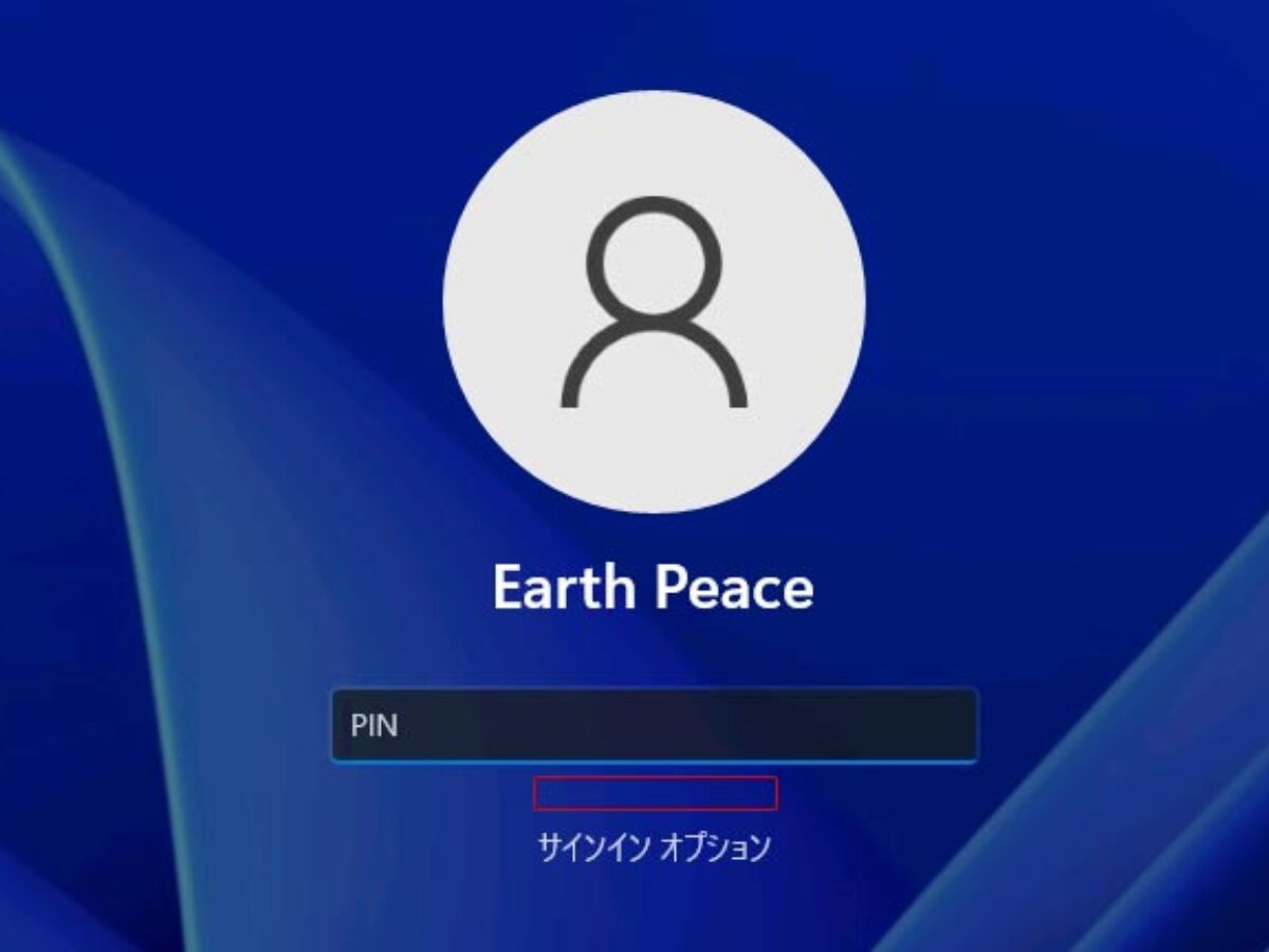 Windows 11 サインイン時にPINのリセットを有効または無効にする - Billionwallet