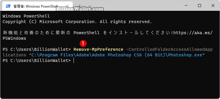 Windows 制御されたフォルダー アクセスをカスタマイズする