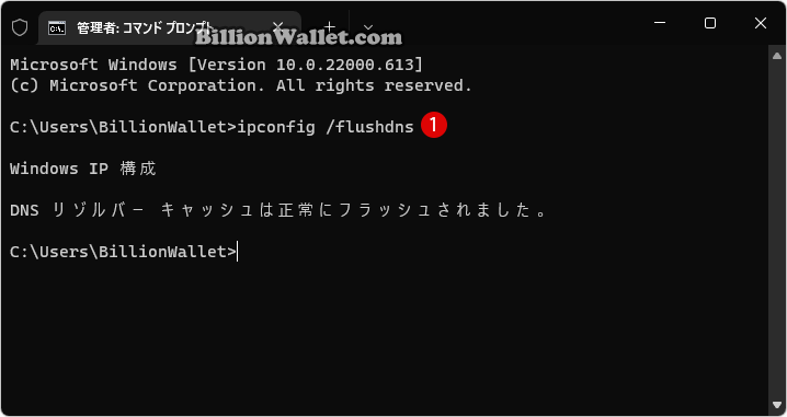 Windows 11 コマンドプロンプトからDNSキャッシュを削除する
