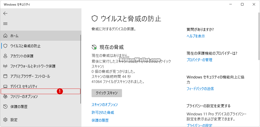 Windows 11